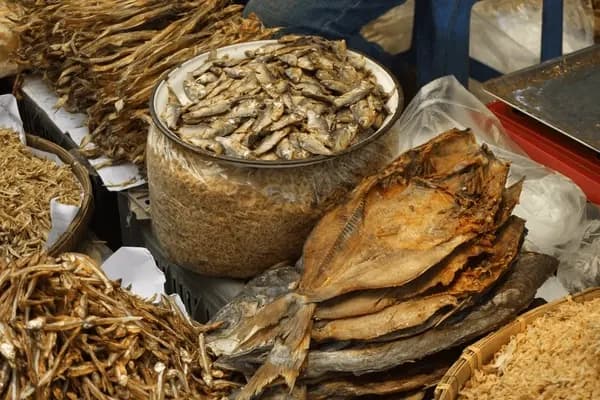 শুঁটকি কি শুধুই স্বাদের জন্য জেনে নিন ৫টি চমকপ্রদ স্বাস্থ্য উপকারিতা